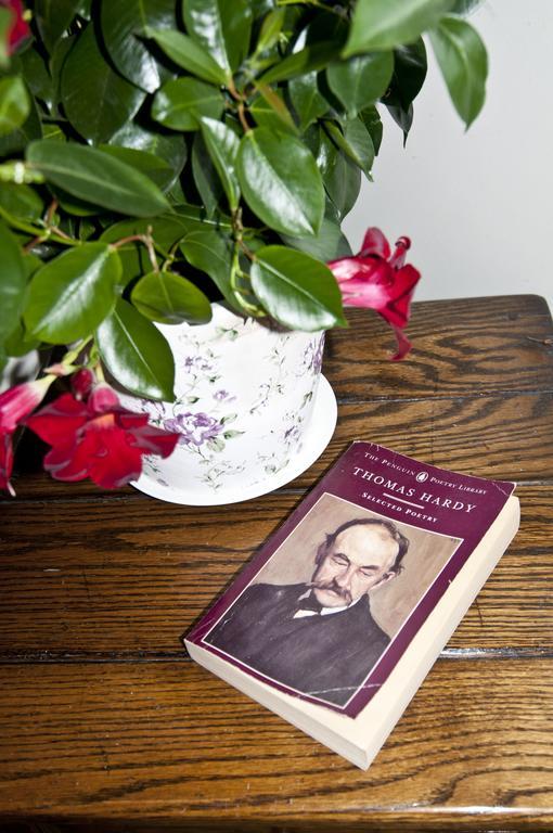 Melbury B&B Dorchester Dış mekan fotoğraf